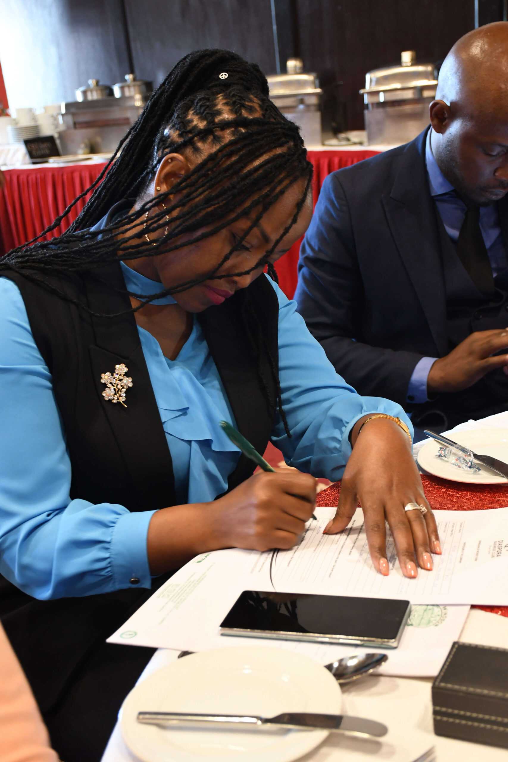 Diaspora client moment 8