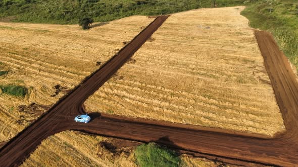 Bahati Greens – plot close-up